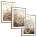 Zestaw obrazy w ramie, plakaty - kwiaty, trawa, delikatne - rama drewno