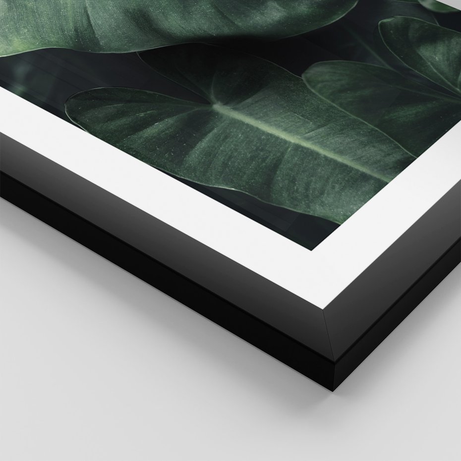 Zestaw obrazy w ramie, plakaty - liście, monstera, rośliny - rama czarna