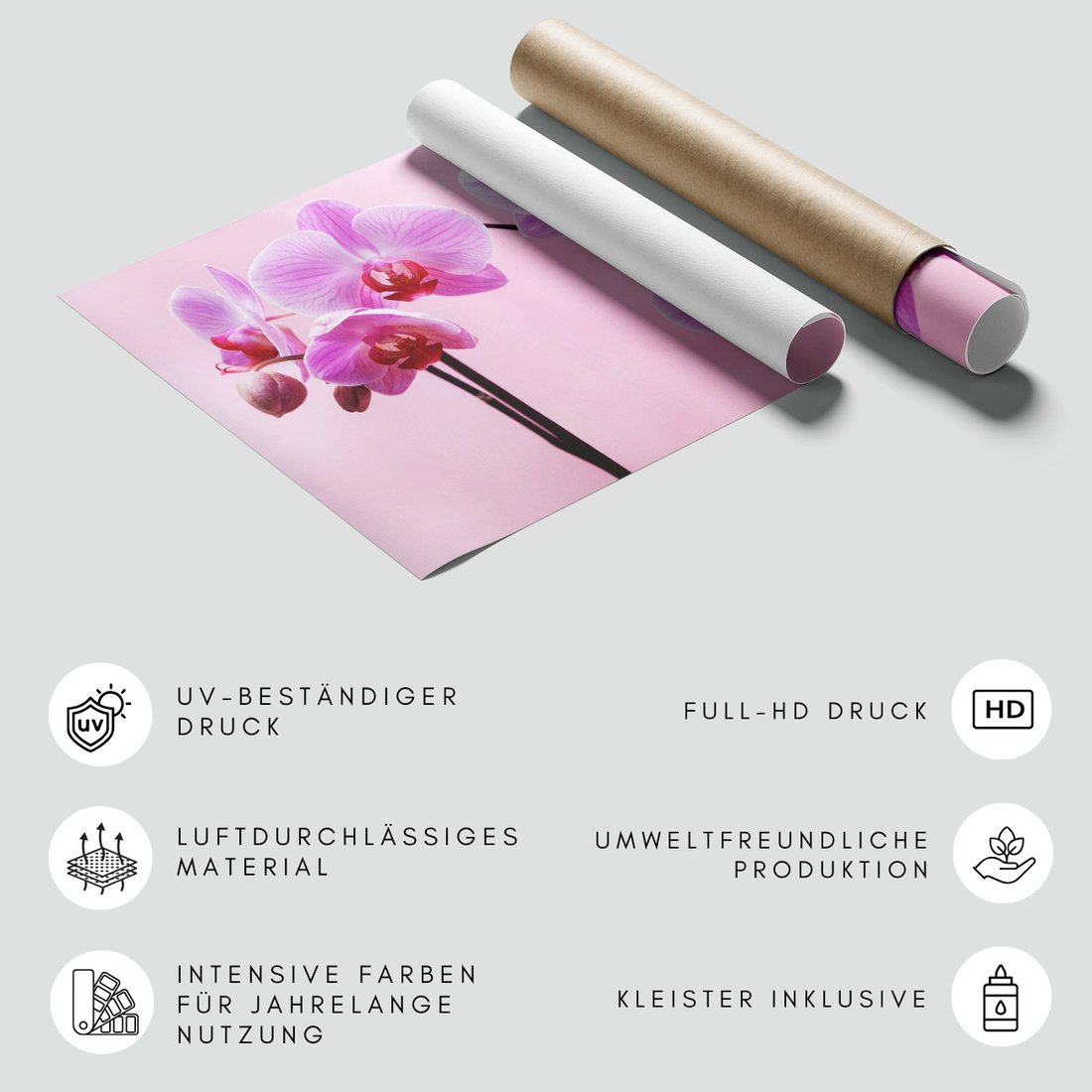 Fototapeta - orchidee, kwiaty, różowy