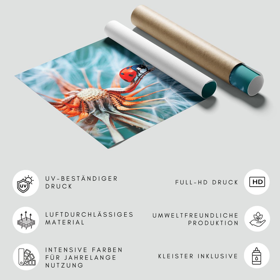 Fototapeta - biedronka, kwiat, natura