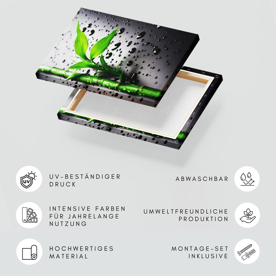 Obraz na płótnie - bambus, liście, krople