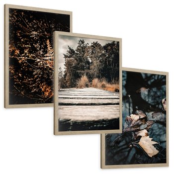 Zestaw obrazy w ramie, plakaty - natura, liście, drzewa - rama drewno