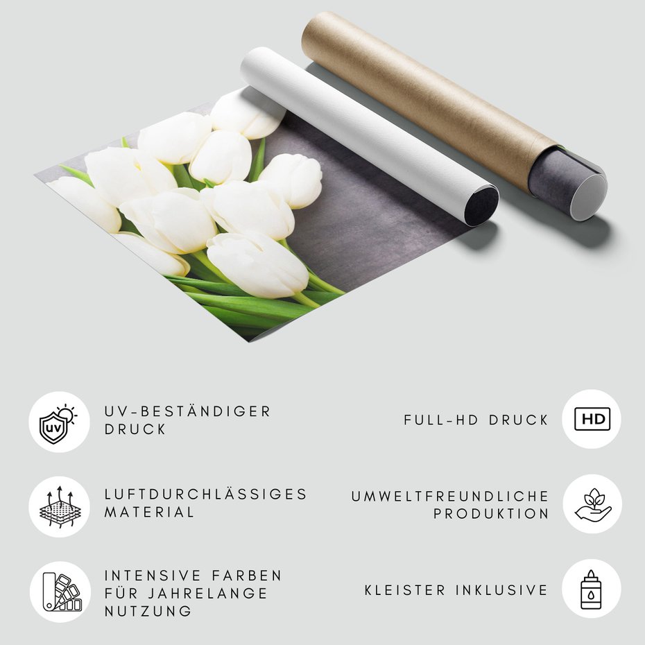 Fototapeta - tulipany, kwiaty, biel,