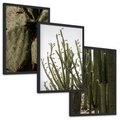 Zestaw obrazy w ramie, plakaty - kaktusy, rośliny, zielony - rama czarna