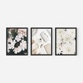 Zestaw obrazy w ramie, plakaty - kwiaty, biały, roślina - rama czarna