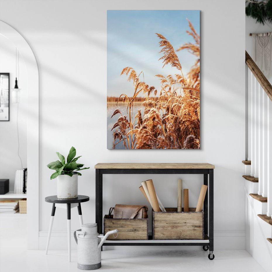 Obraz na płótnie - trzcinowisko, zima, śnieg