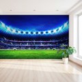 Fototapeta - stadion, sport, trawa