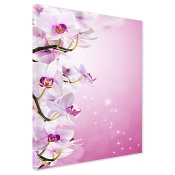 Obraz na płótnie - kwiaty, orchidee, różowy