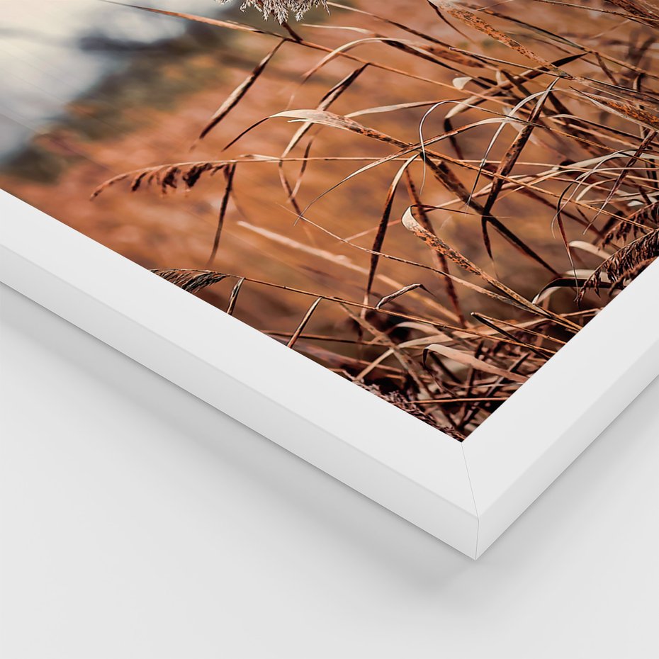 Zestaw obrazy w ramie, plakaty - krajobraz, wiatrak, natura - rama biała