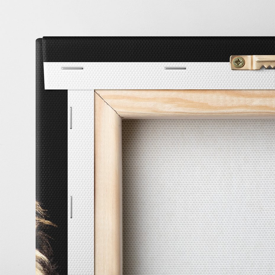 Obraz na płótnie - lew, zwierzę, drapieżnik