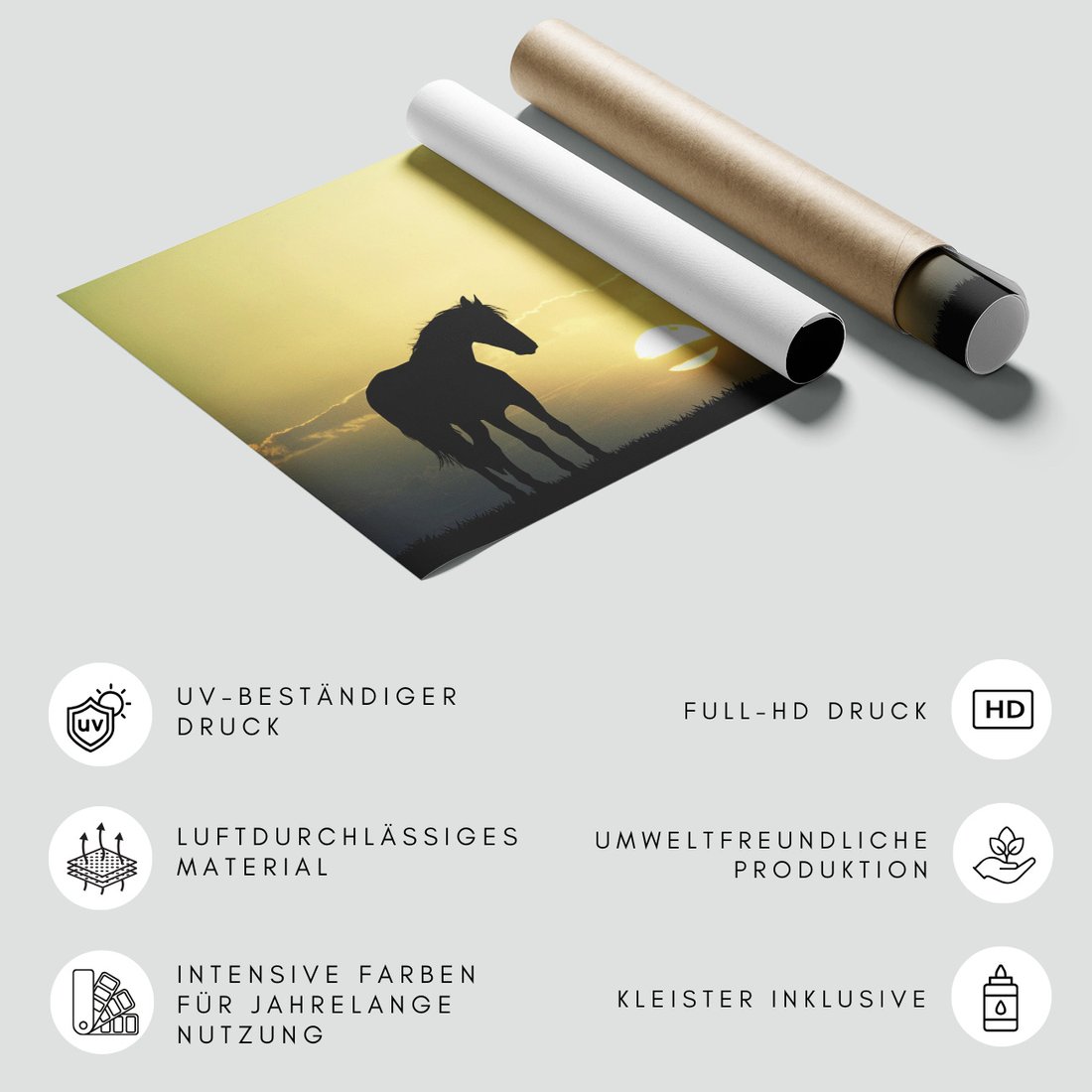 Fototapeta - koń, zachód słońca, ptaki