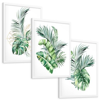 Zestaw obrazy w ramie, plakaty - liście, rośliny, tropikalne - rama biała