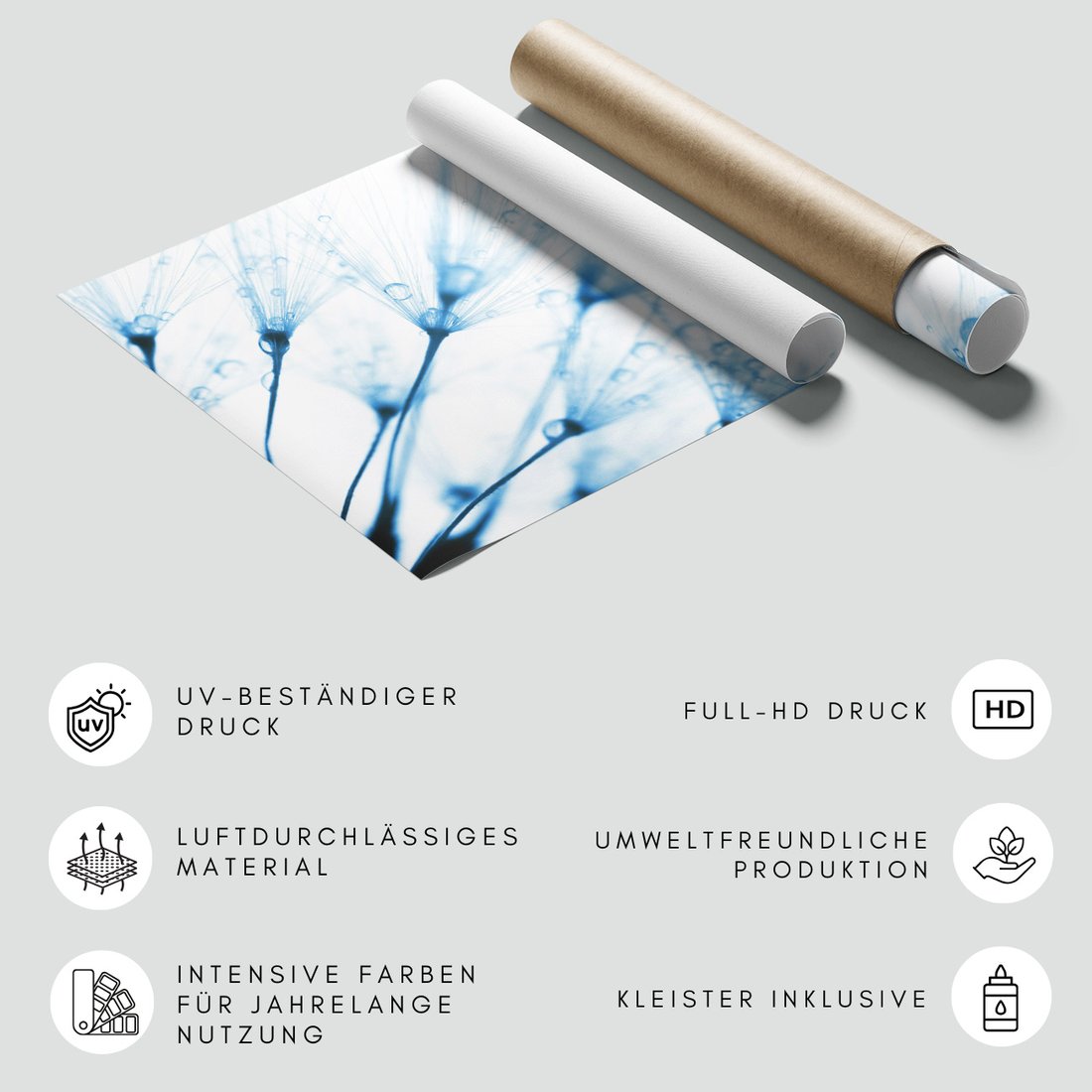 Fototapeta - dmuchawiec, krople, delikatność