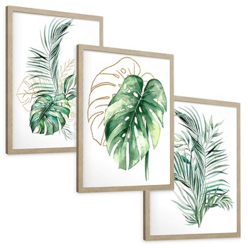Zestaw obrazy w ramie, plakaty - liście, monstera, rośliny - rama drewno