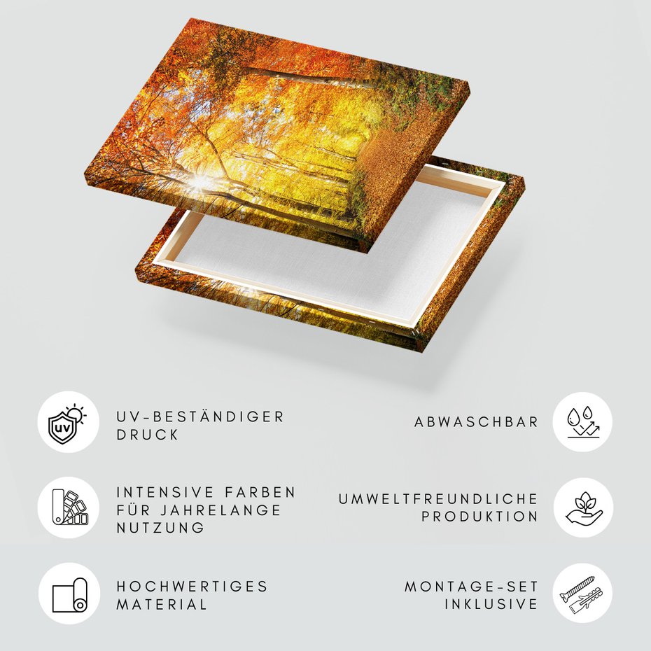 Obraz na płótnie - jesień, las, liście