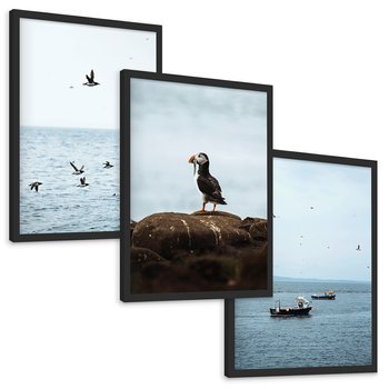 Zestaw obrazy w ramie, plakaty - ptaki, morze, łodzie - rama czarna