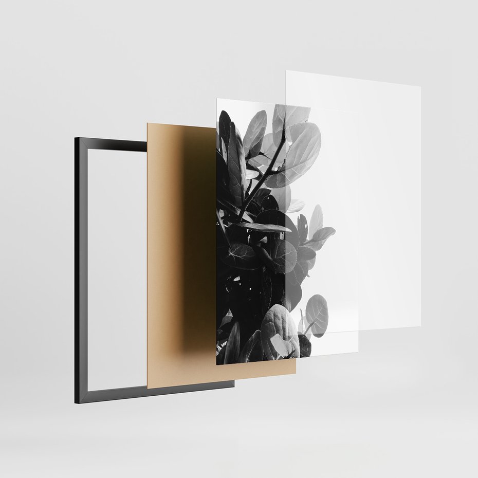 Zestaw obrazy w ramie, plakaty - liście, rośliny, natura - rama czarna