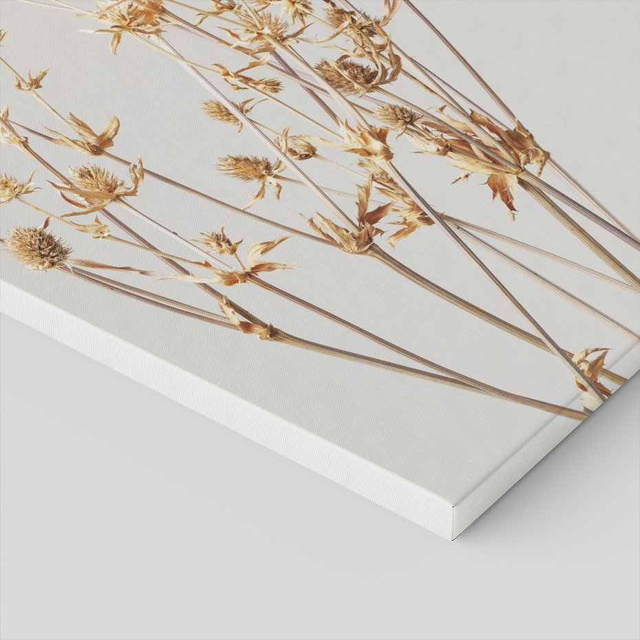 Obraz na płótnie - kwiaty, suszone, beżowe