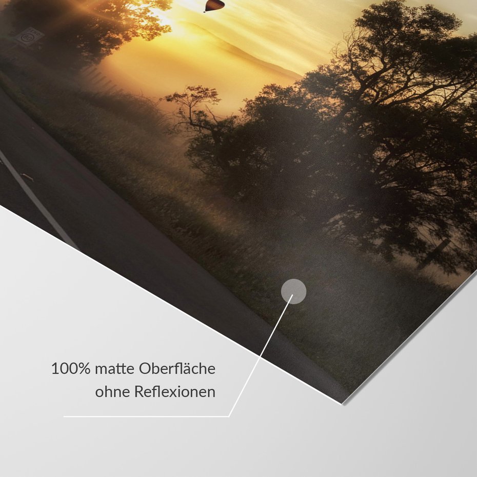 Fototapeta - balony, wschód słońca, mgła