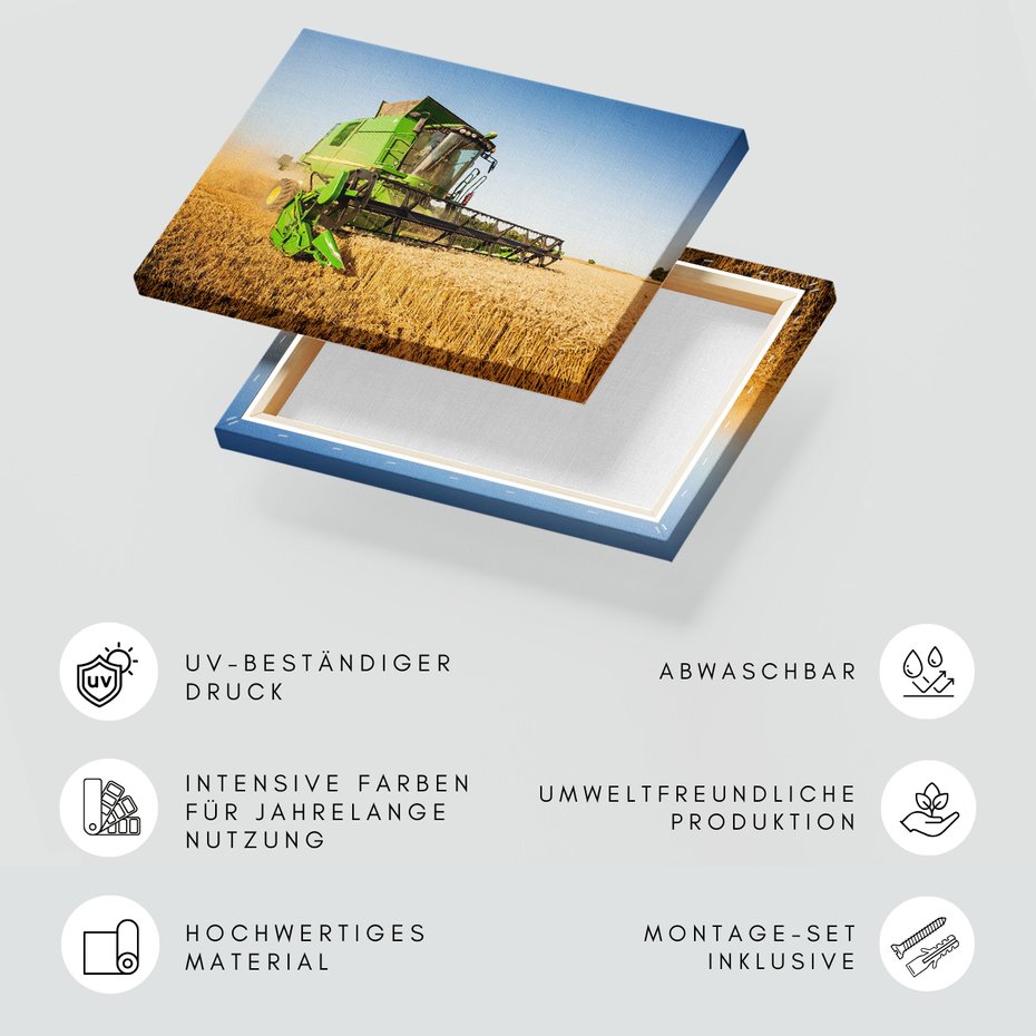 Obraz na płótnie - kombajn, rolnictwo, żniwa