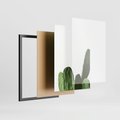 Zestaw obrazy w ramie, plakaty - kaktus, roślina, aloes - rama czarna