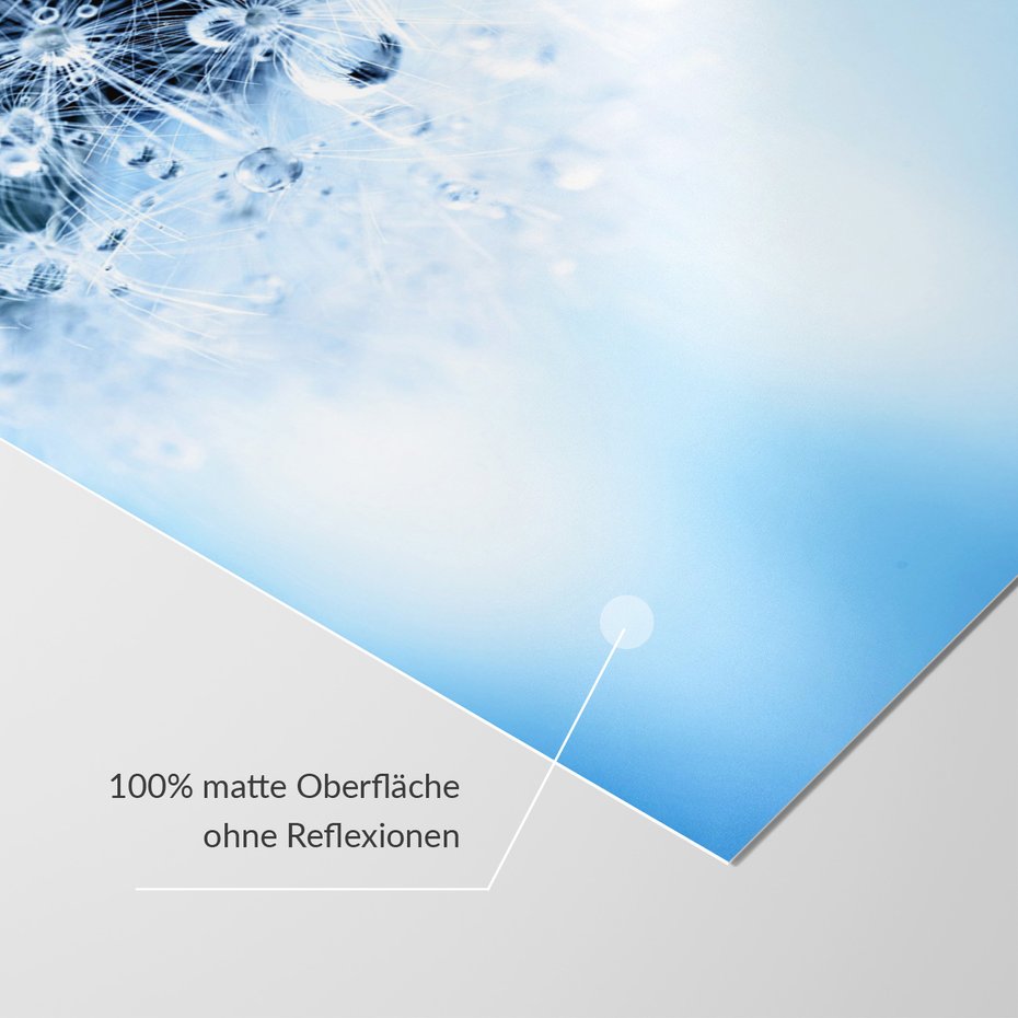 Fototapeta - dmuchawiec, krople, abstrakcja