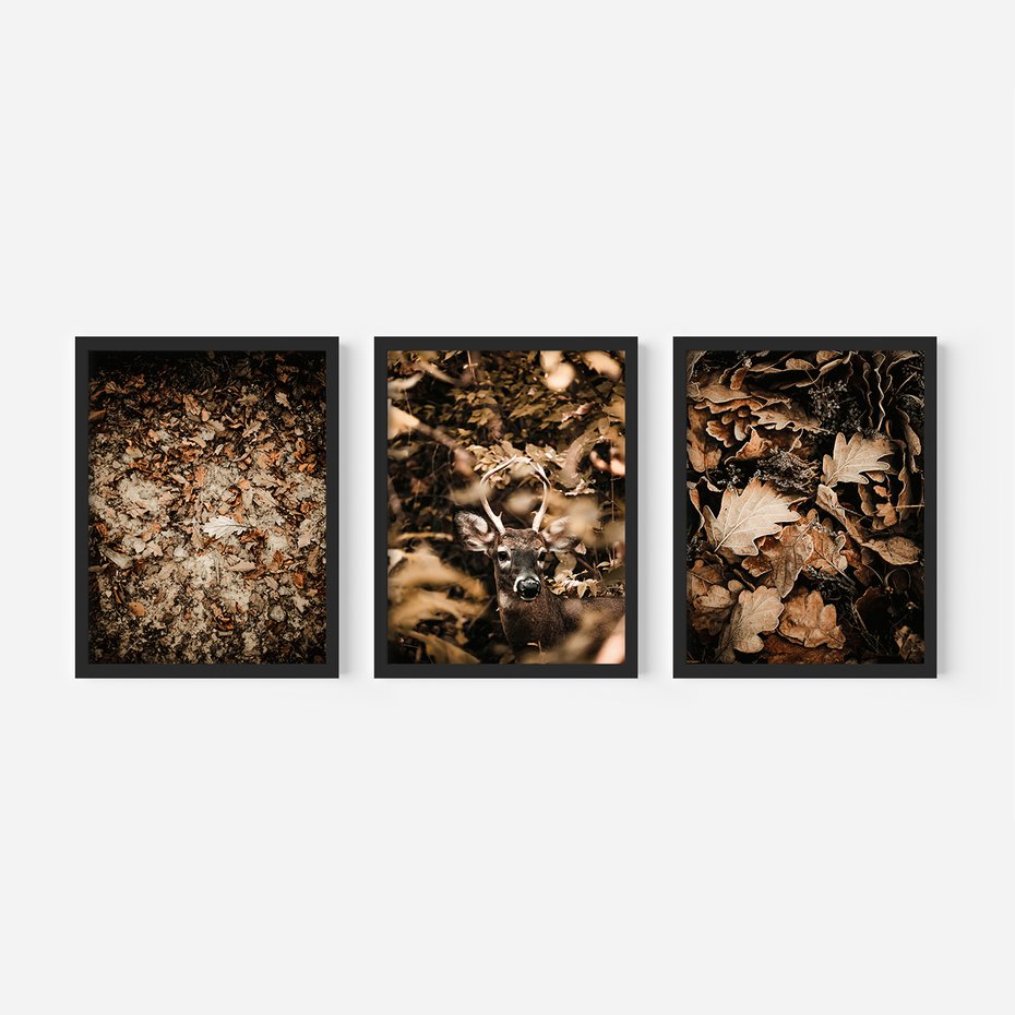 Zestaw obrazy w ramie, plakaty - liście,jeleń,las - rama czarna
