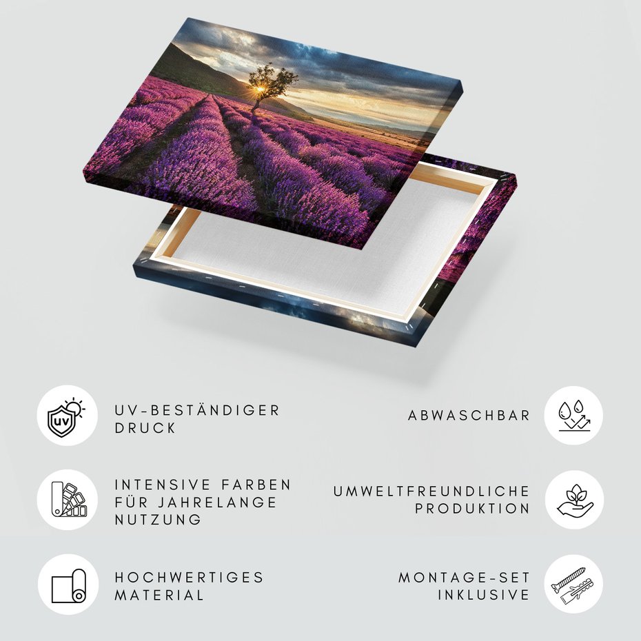 Obraz na płótnie - lawenda, pole, krajobraz