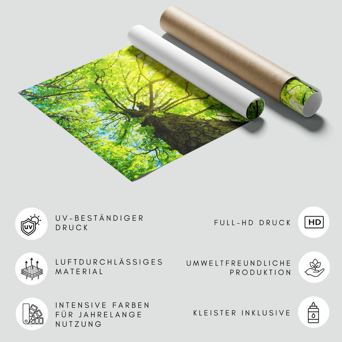 Fototapeta - las, drzewo, liście