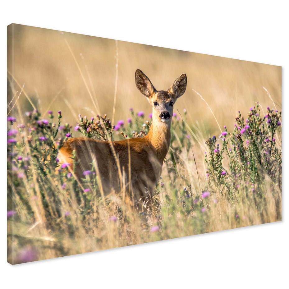Obraz na płótnie - jeleń, kwiaty, trawa