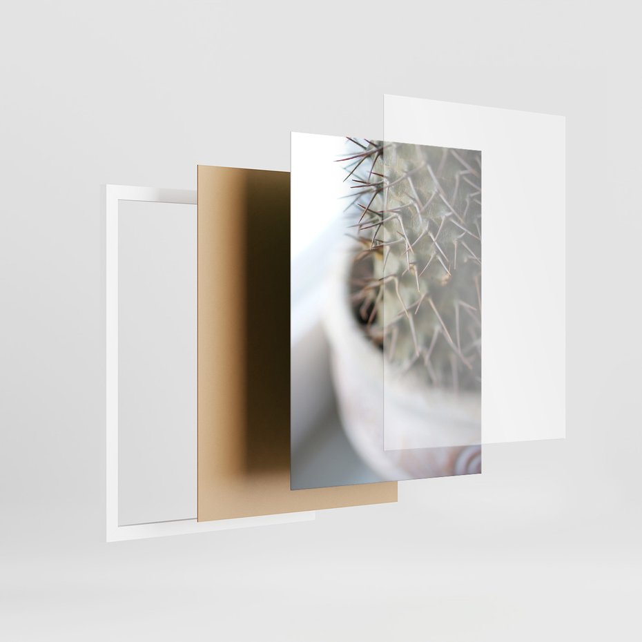 Zestaw obrazy w ramie, plakaty - kaktus, sukulenty, rośliny - rama biała