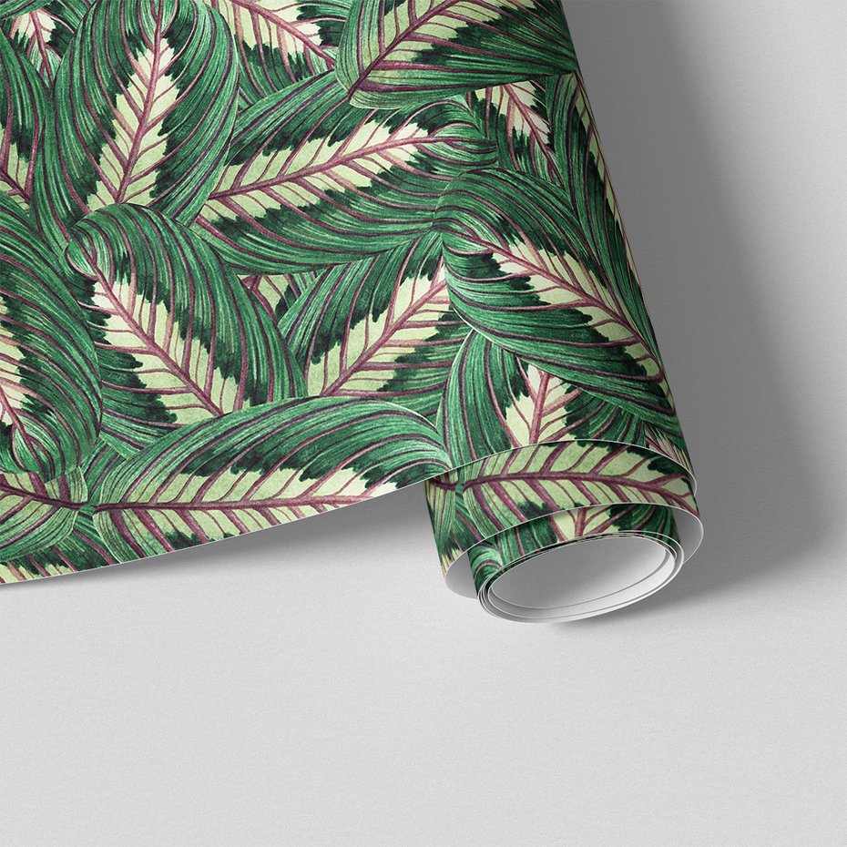 Tapeta - liście, natura, rośliny