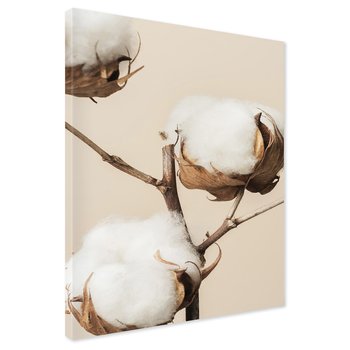 Obraz na płótnie - bawełna, roślina, natura