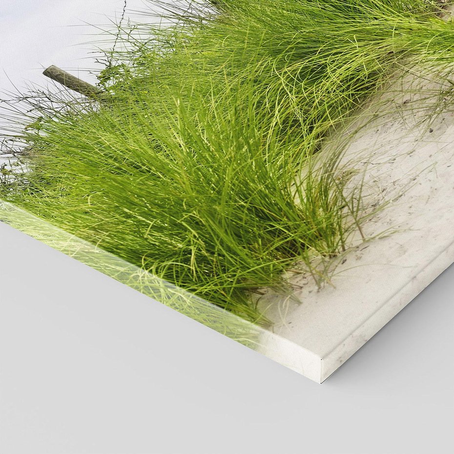 Obraz na płótnie - plaża, trawa, wydmy