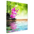 Obraz na płótnie - kwiaty, orchidee, kamienie