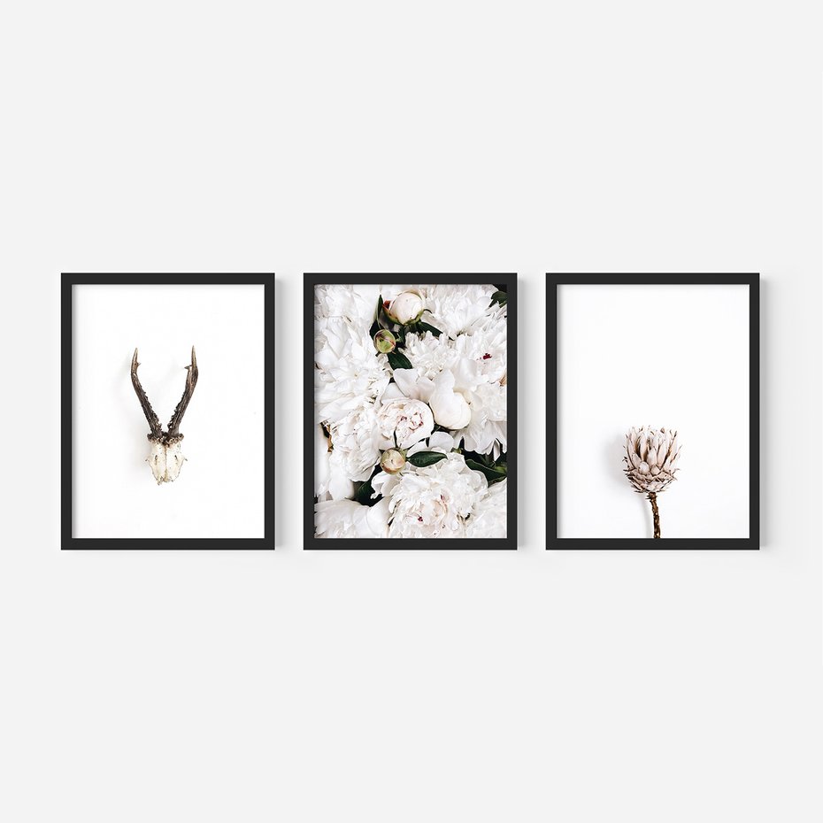 Zestaw obrazy w ramie, plakaty - kwiaty, minimalizm, roślina - rama czarna