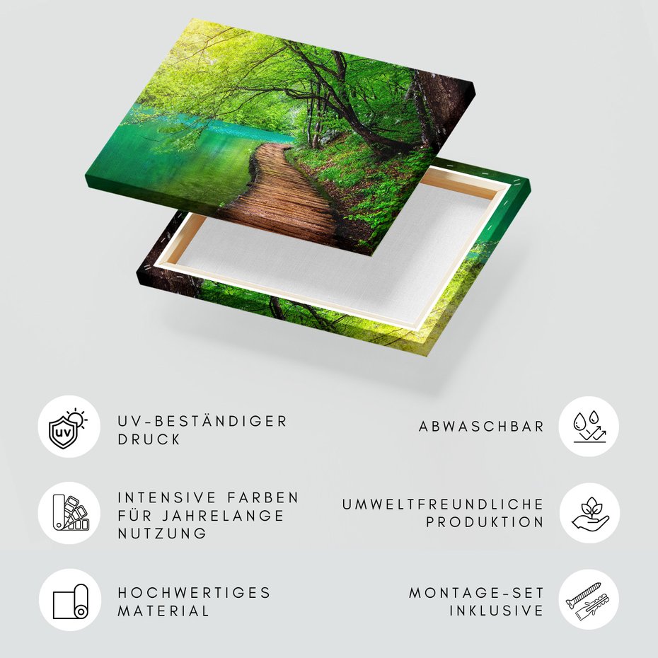 Obraz na płótnie - las, woda, natura