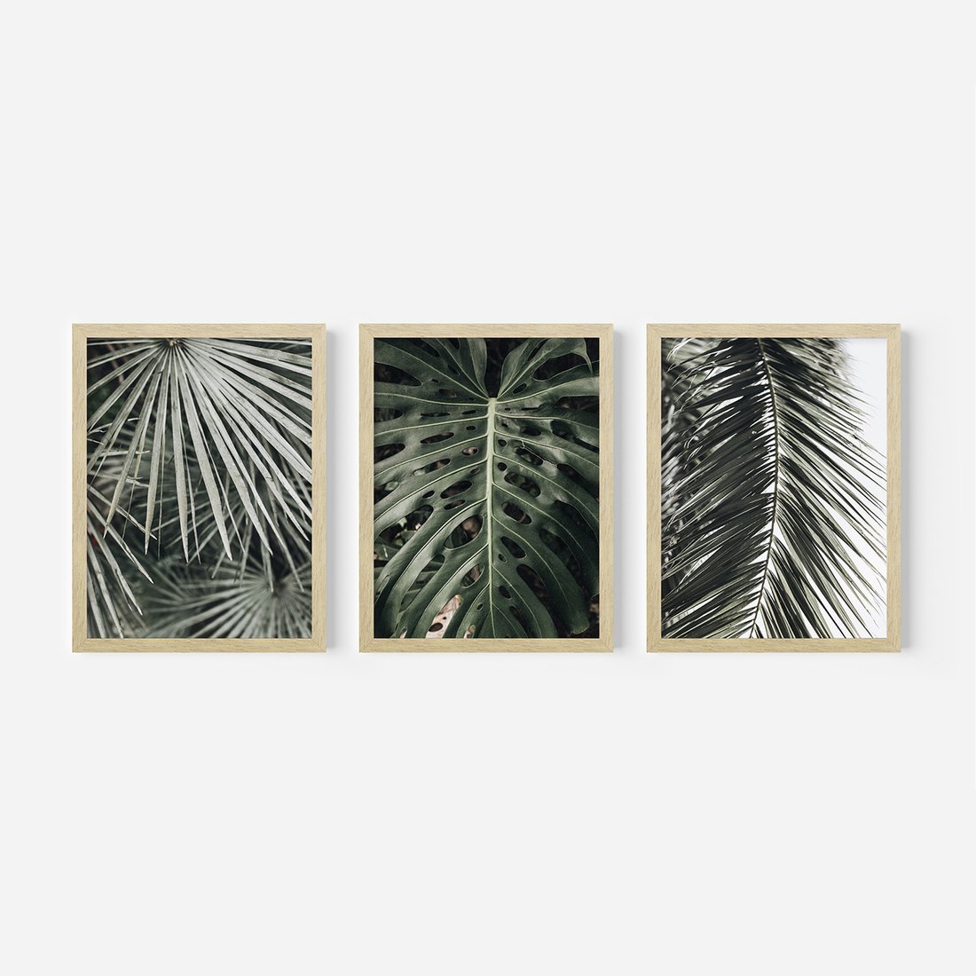 Zestaw obrazy w ramie, plakaty - liście, palmy, tropikalne - rama drewno