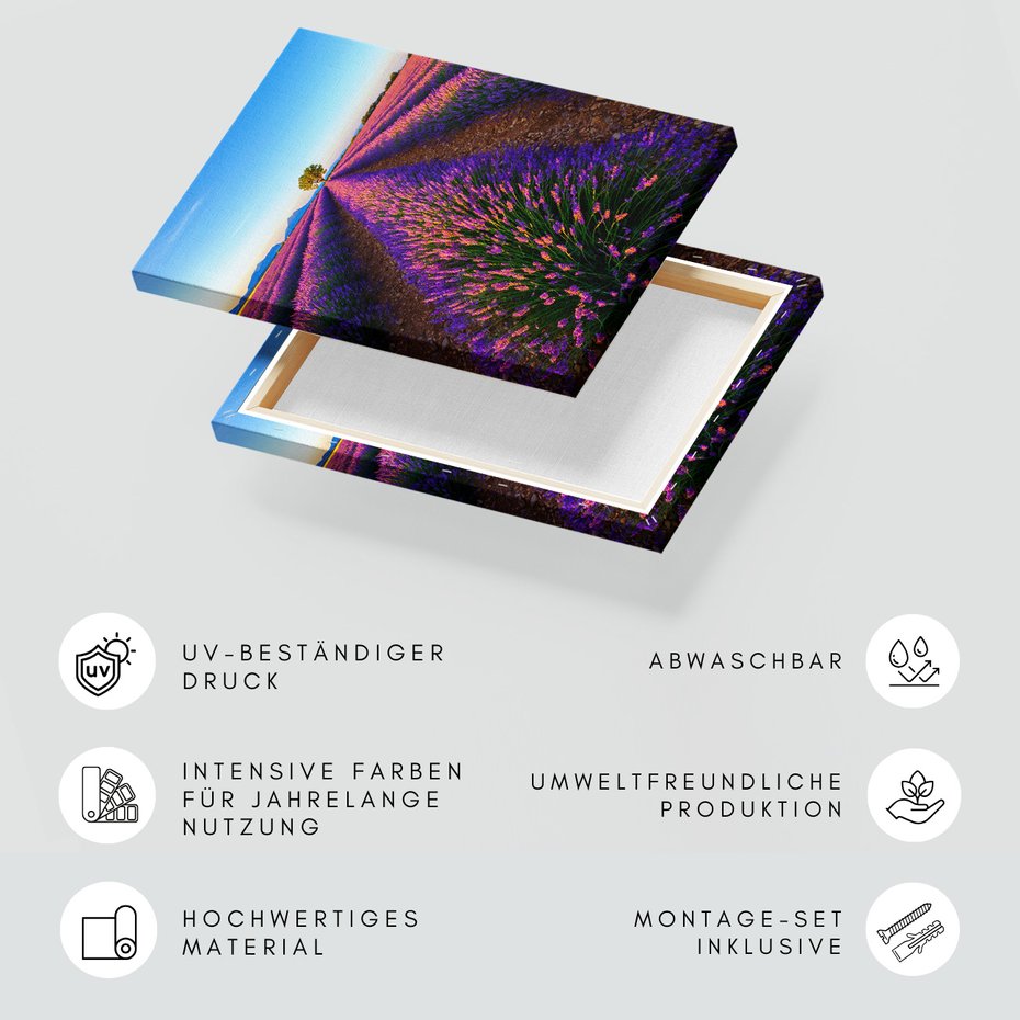 Obraz na płótnie - lawenda, pole, krajobraz