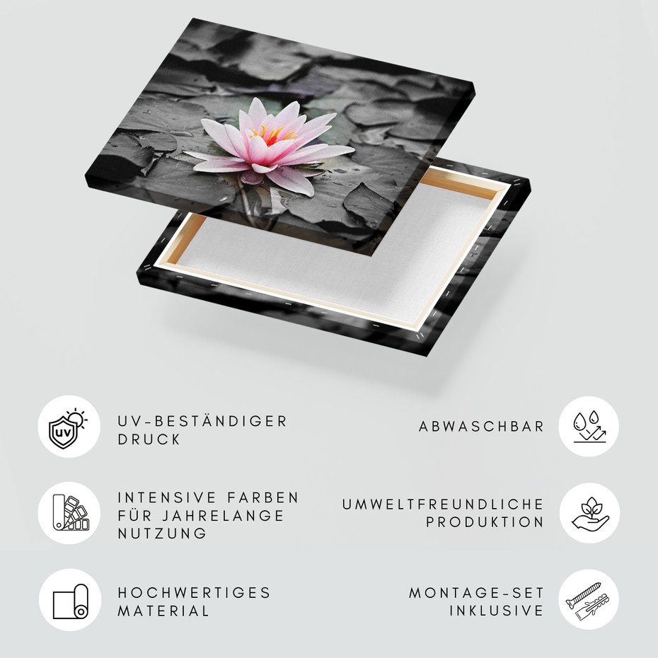 Obraz na płótnie - kwiat, lilia wodna, staw