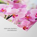 Fototapeta - kwiaty, orchidee, różowe,