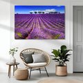 Obraz na płótnie - lawenda, pole, lato