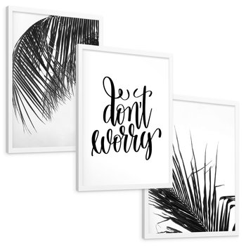 Zestaw obrazy w ramie, plakaty - liście,roślina,czarny - rama biała