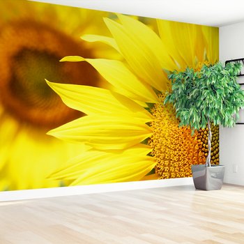 Fototapeta - słonecznik, kwiat, żółty