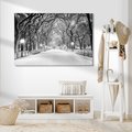 Obraz na płótnie - zima, śnieg, park