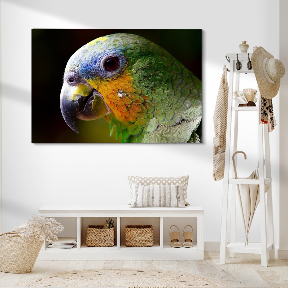 Obraz na płótnie - papuga, ptak, tropikalny