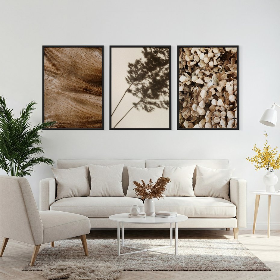 Zestaw obrazy w ramie, plakaty - rośliny, cienie, susz - rama czarna