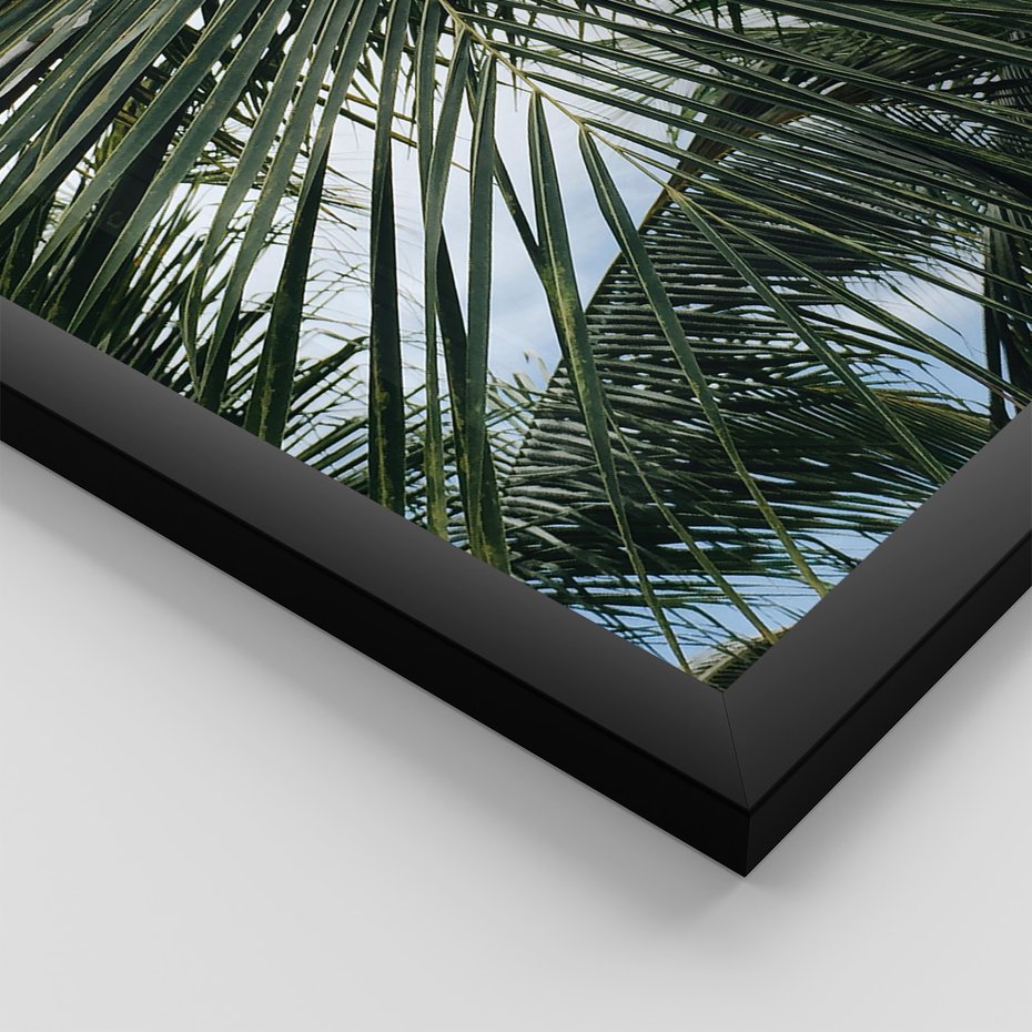 Zestaw obrazy w ramie, plakaty - liście,palmy,tropikalne - rama czarna