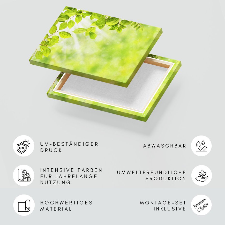 Obraz na płótnie - liście, zieleń, natura