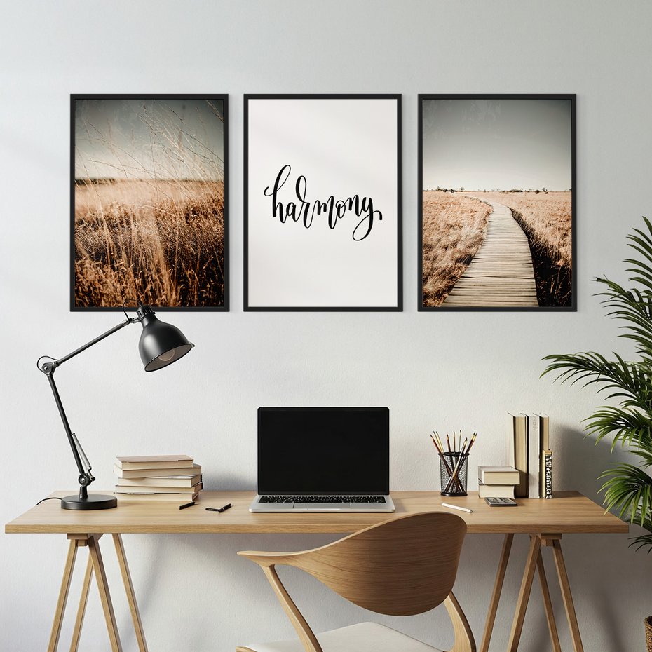 Zestaw obrazy w ramie, plakaty - przyroda, polne, krajobraz - rama czarna